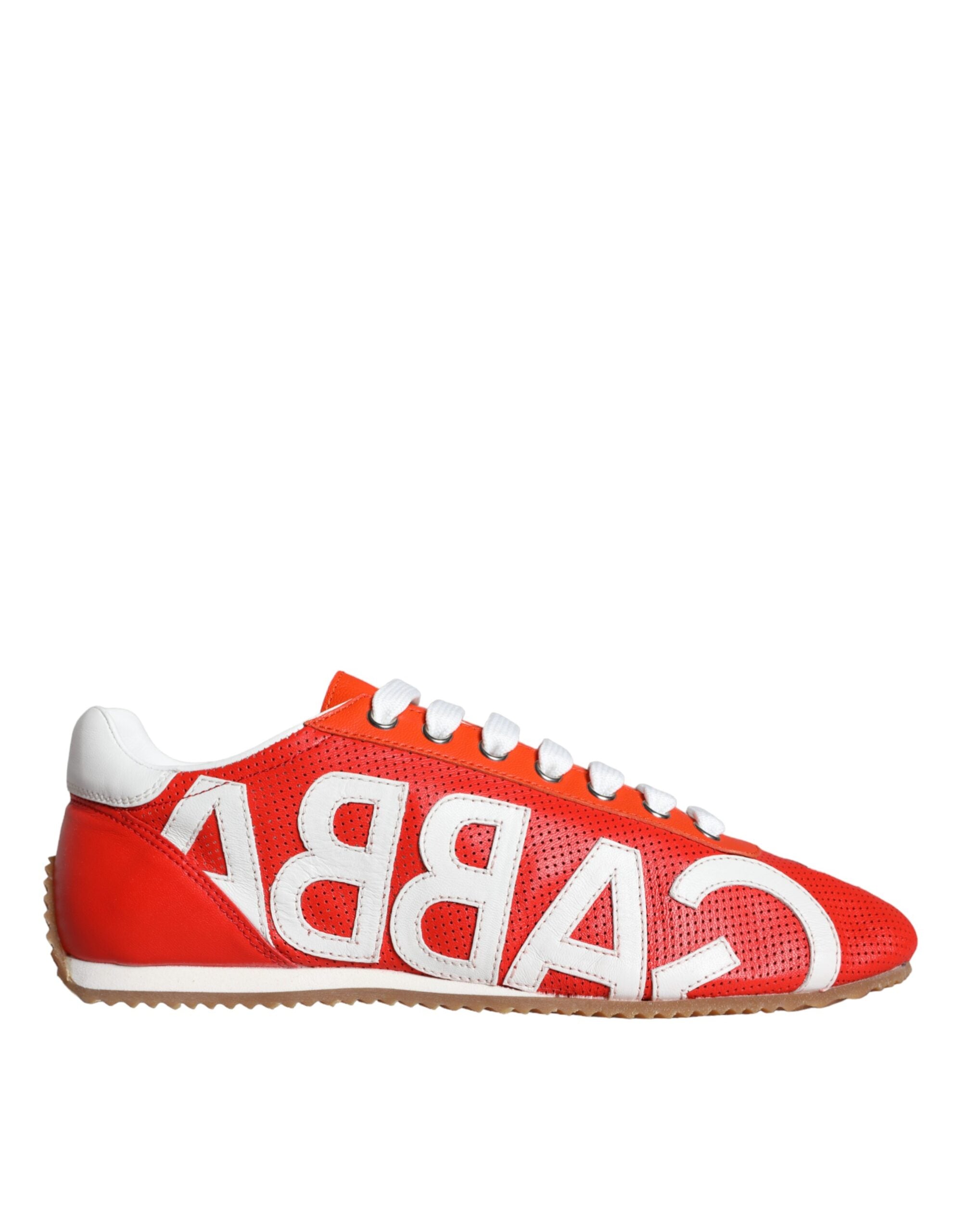 Baskets Dolce & Gabbana multicolores